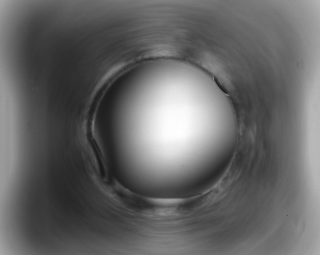 X0000098100108200804111030