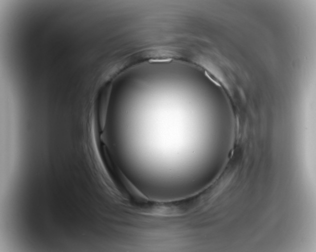 X0000098100109200804111030
