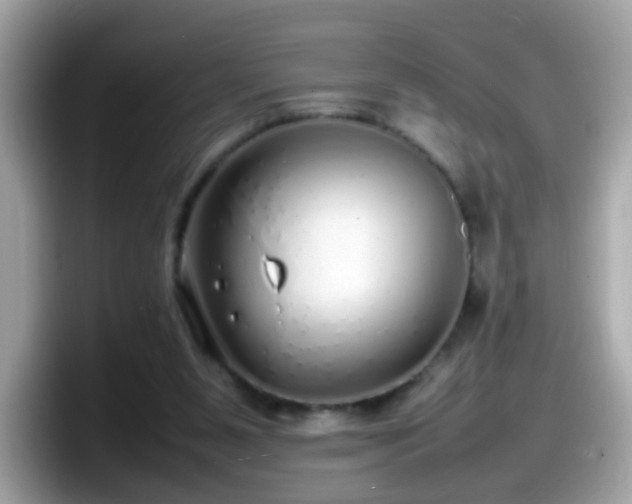 X0000098100111200804111030
