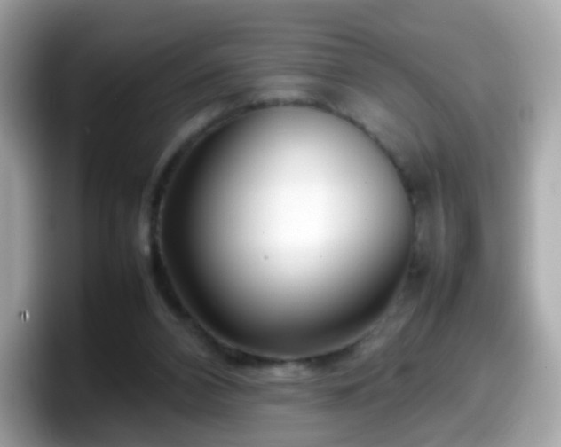 X0000098100112200804111030