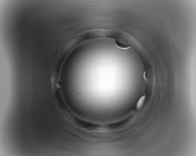 X0000098100119200804111030