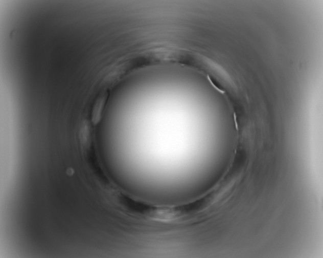 X0000098100121200804111030