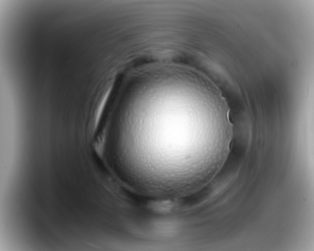 X0000098100131200804111030