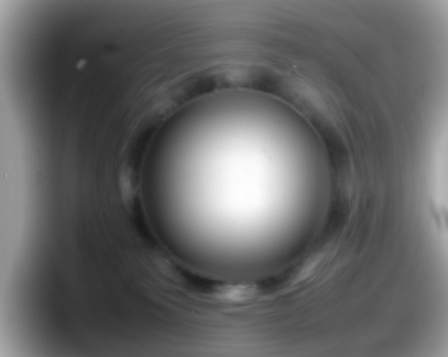 X0000098100135200804111030