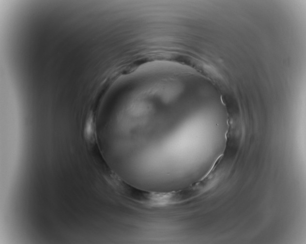X0000098100143200804111030