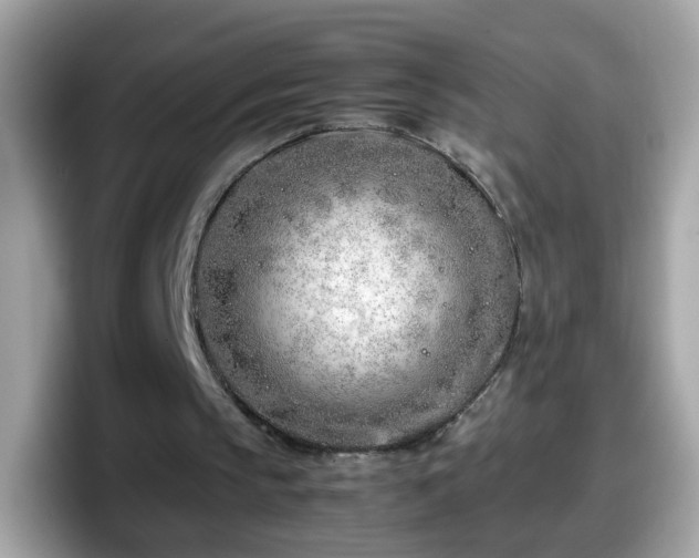 X0000098100145200804111029