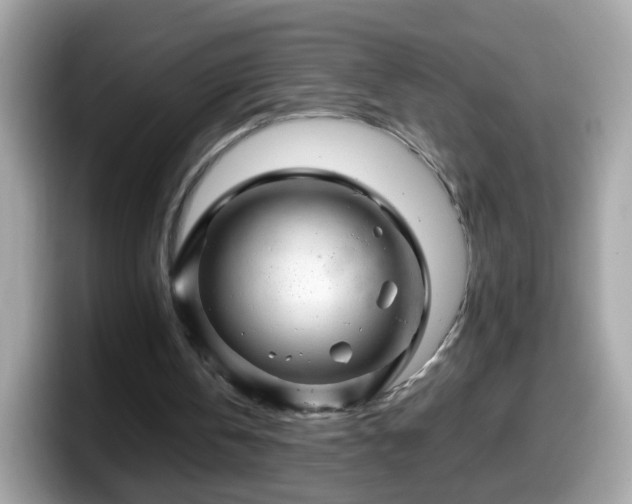 X0000098100146200804111029