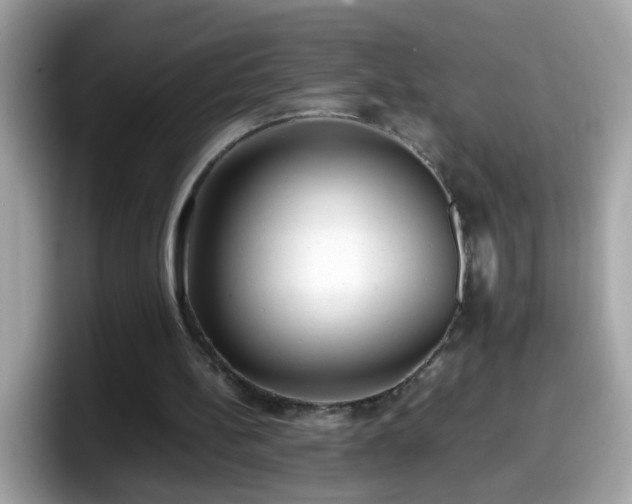 X0000098100148200804111029
