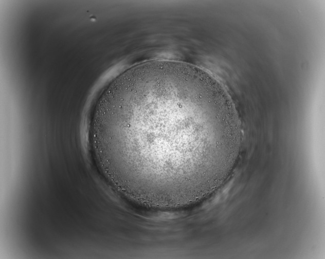 X0000098100149200804111029