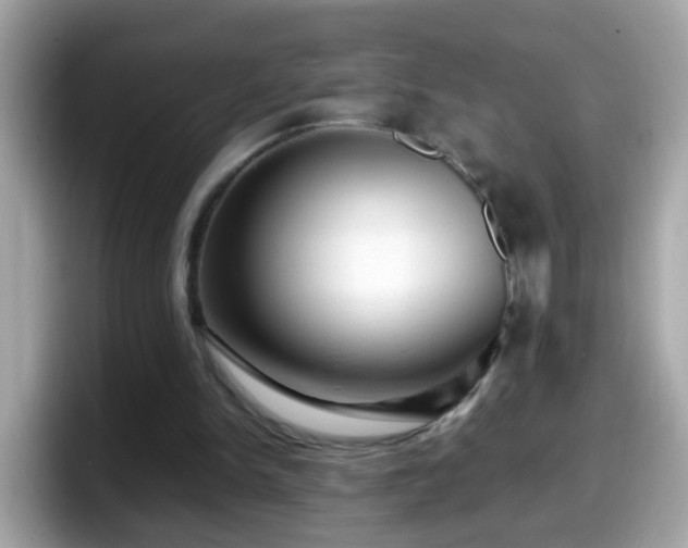 X0000098100150200804111029