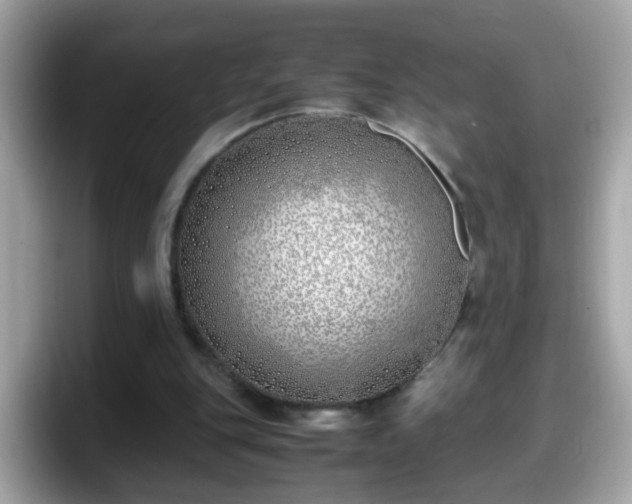 X0000098100151200804111029