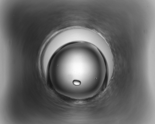 X0000098100152200804111029