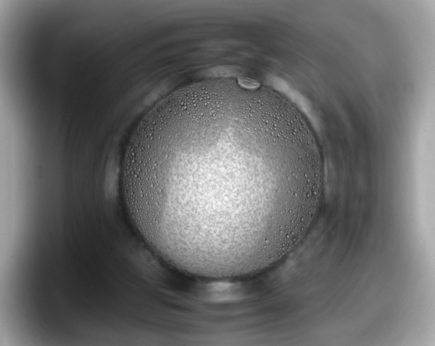 X0000098100153200804111029