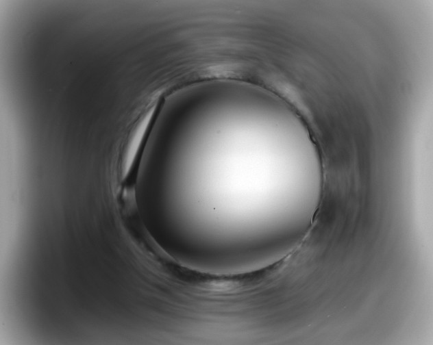 X0000098100154200804111029