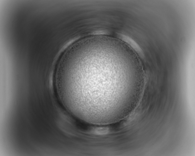 X0000098100155200804111029