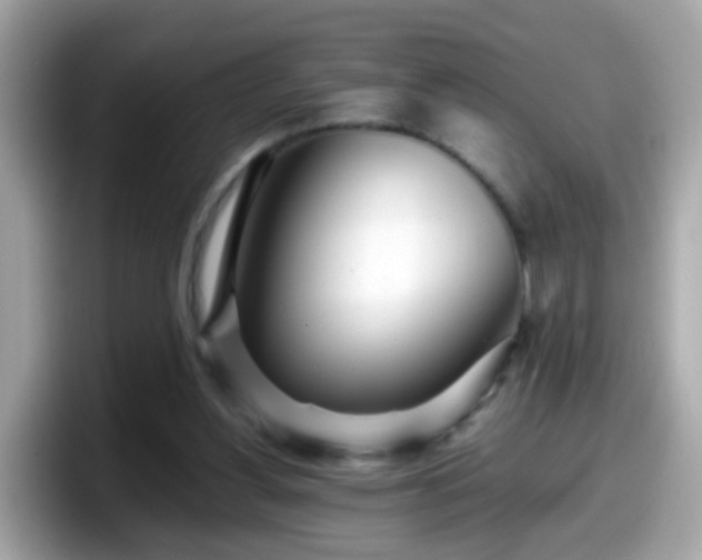 X0000098100156200804111030