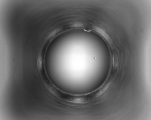 X0000098100157200804111030