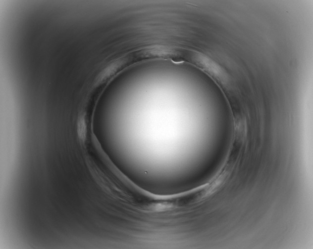 X0000098100158200804111030