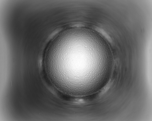 X0000098100159200804111030
