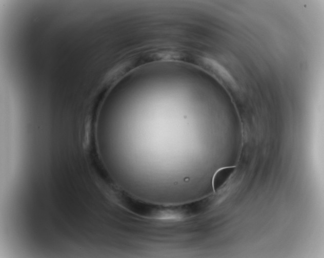 X0000098100163200804111030