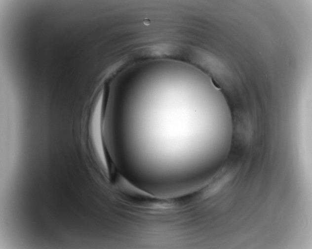 X0000098100164200804111030