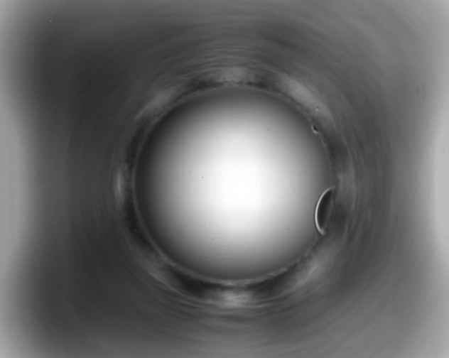 X0000098100165200804111030