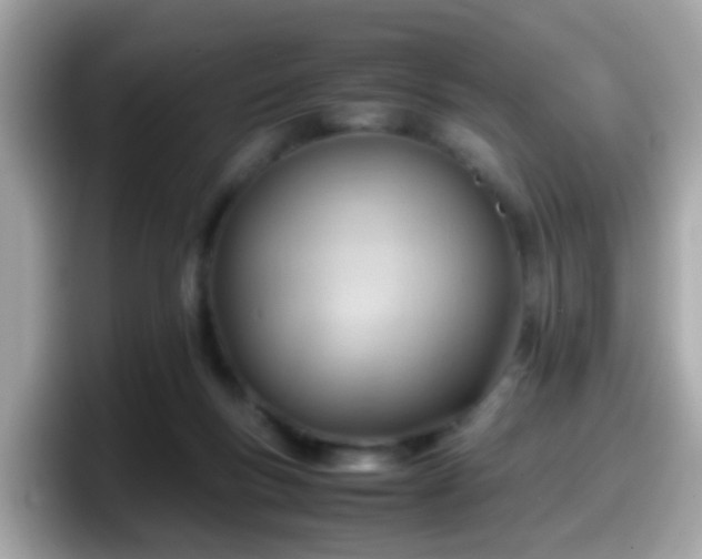 X0000098100167200804111030