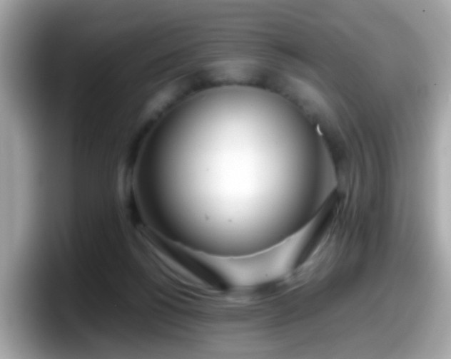 X0000098100168200804111030