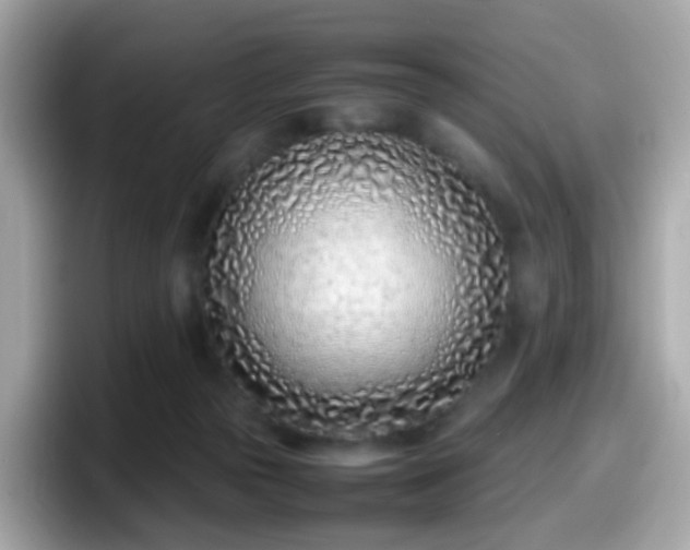 X0000098100169200804111030