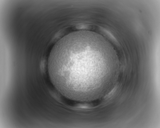 X0000098100171200804111030