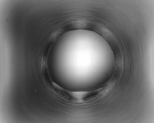 X0000098100172200804111030