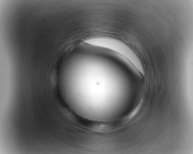 X0000098100174200804111030
