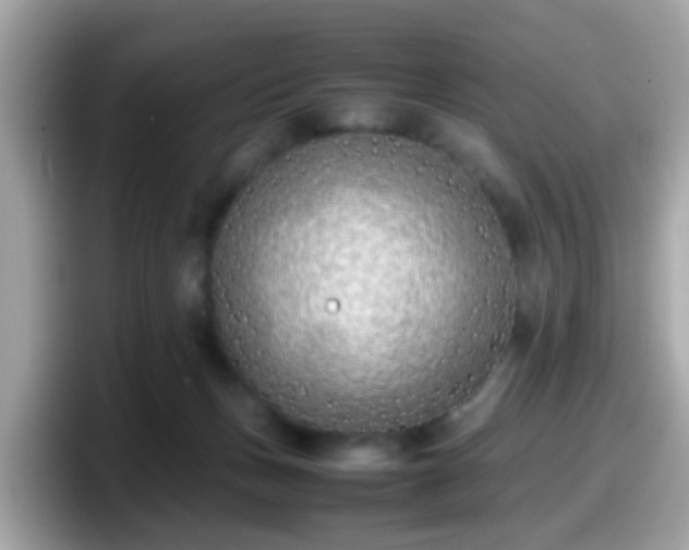 X0000098100175200804111030