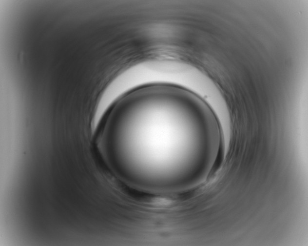 X0000098100176200804111030