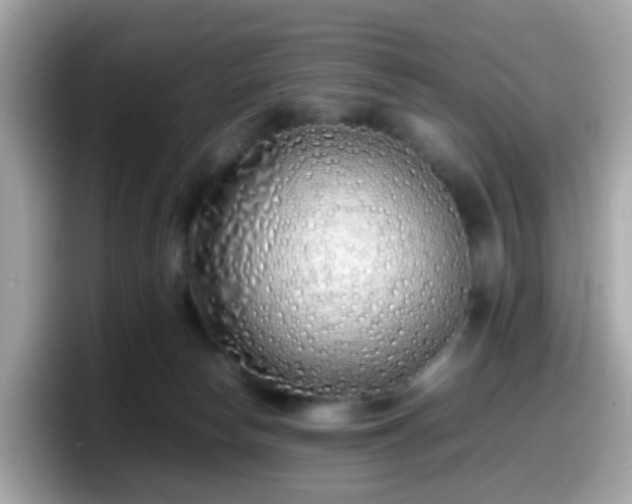 X0000098100178200804111030