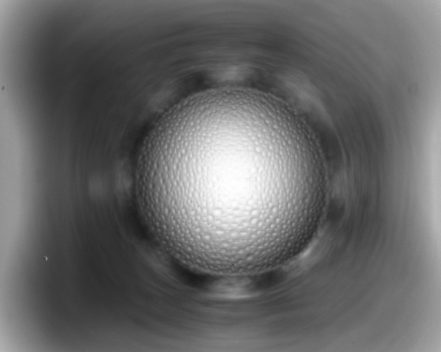 X0000098100179200804111030