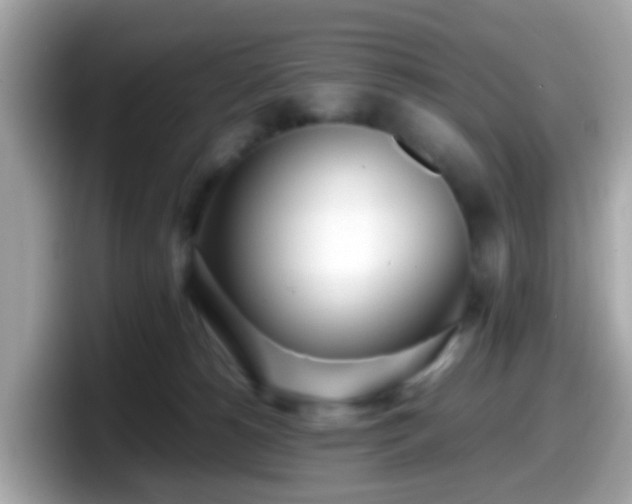 X0000098100180200804111030