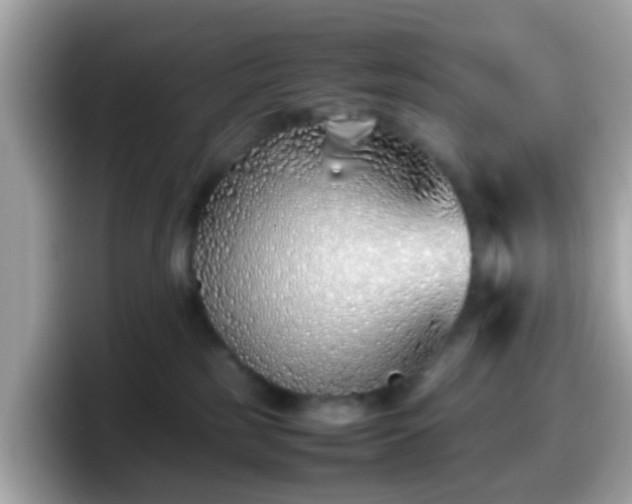 X0000098100185200804111030