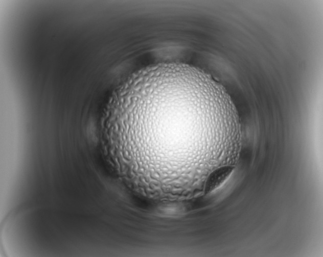 X0000098100187200804111030