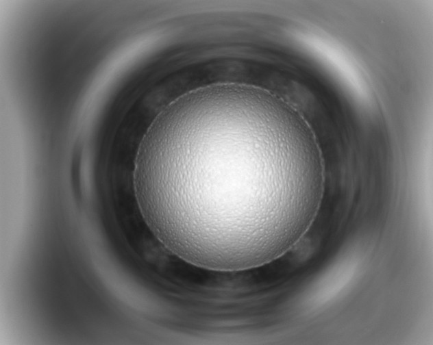X0000098100189200804111030