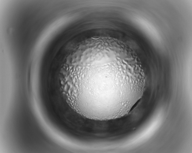 X0000098100191200804111030