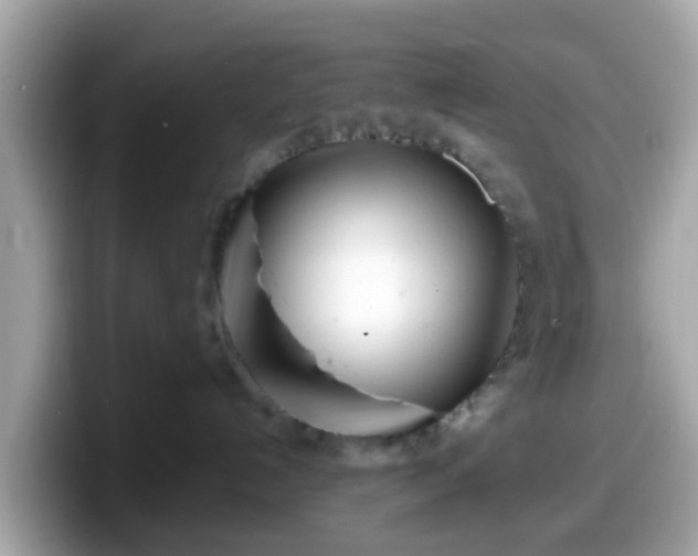 X0000098100192200804111030