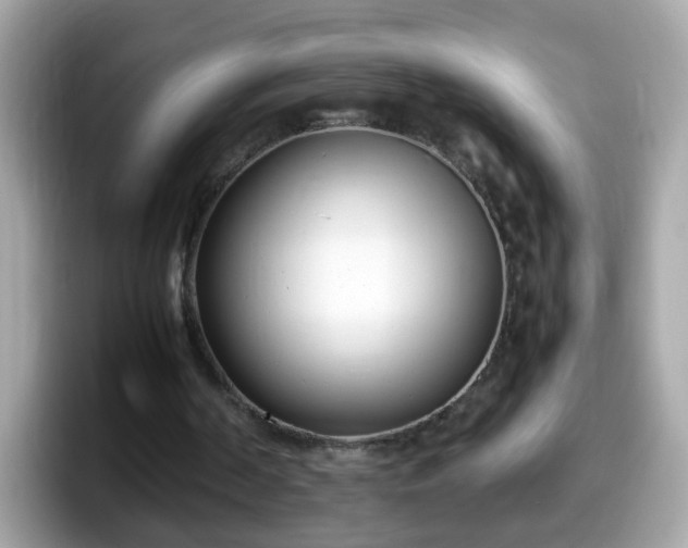 X0000098100194200804111029