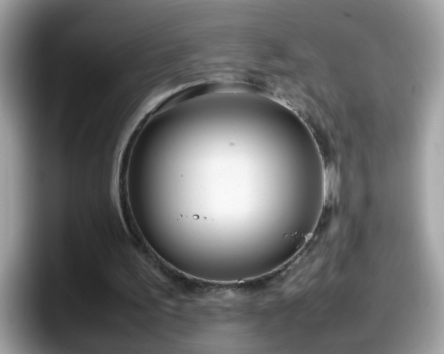 X0000098100195200804111029