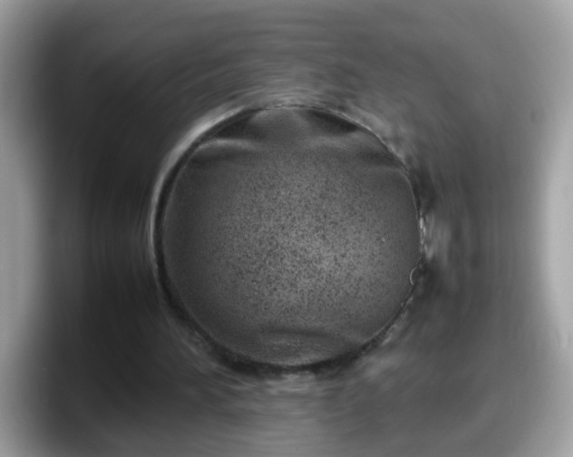 X0000098100196200804111029