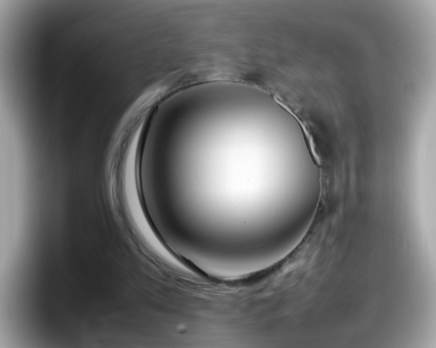 X0000098100197200804111029
