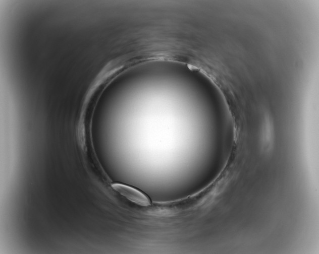 X0000098100198200804111029