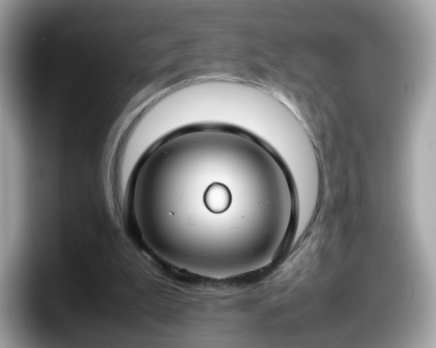 X0000098100199200804111029