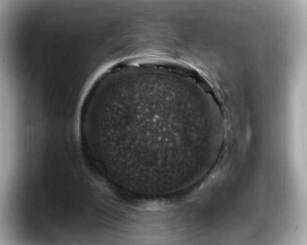 X0000098100200200804111029