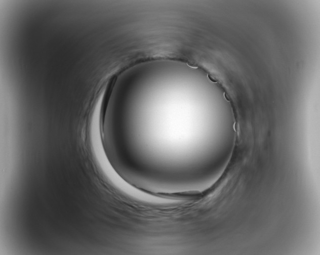 X0000098100201200804111029